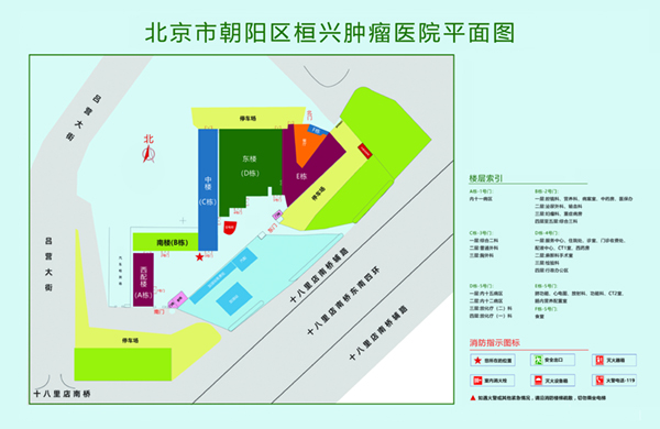 操逼爆操潮喷高潮h视频北京市朝阳区桓兴肿瘤医院平面图